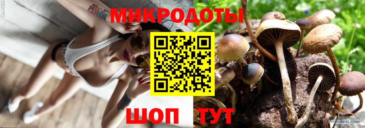 Тихорецк  Галлюциногенные грибы мицелий  Вход с VPN 